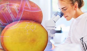 Is THIS golden potato the key to eternal life?