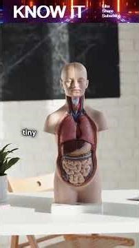 Why Do We Sometimes Hear A Low Hum That No One Else Seems To Notice?