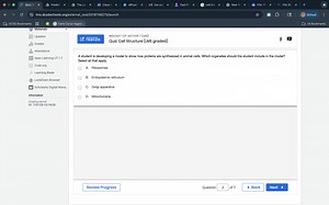 A student is developing a model to show how proteins are synthe... | Filo