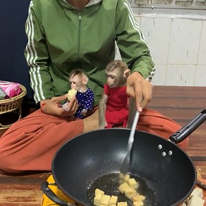 201K views · 2.7K reactions | Today baby monkeys ROJO help mommy cooking and eating all together | Lovely ROJO | Facebook
