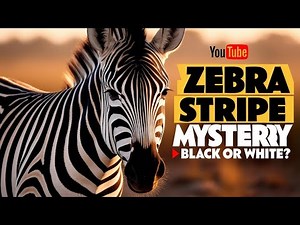The Secret Behind Zebra Stripes Nature's Ingenious Design