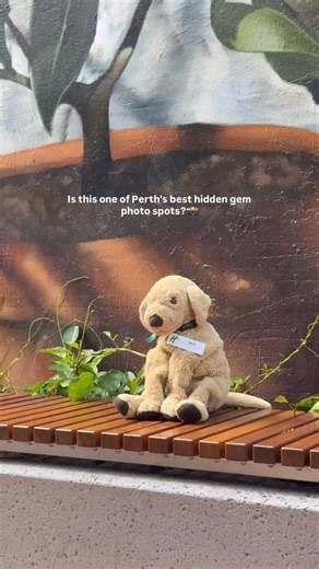 Have you discovered this hidden gem in the Perth CBD? Just behind Holiday Inn Perth City Centre lies Wolf lane, a quirky laneway filled with vibrant murals and street art. The perfect spot for a mini city adventure (and your next photo op😉). #perth #visitperth #hiddengem #holidayinnperth #perthisoklocal #wathedreamstate | Holiday Inn Perth City Centre