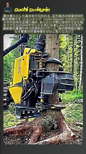 最新の林業機械ジョンディア1270Gハーベスタによる伐채・造材プロセス #worker #process #harvester #forestry #logging