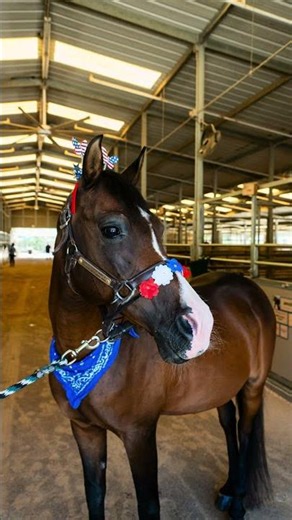 Auggie Celebrates His 19th Birthday in Patriotic Style! 🇺🇸