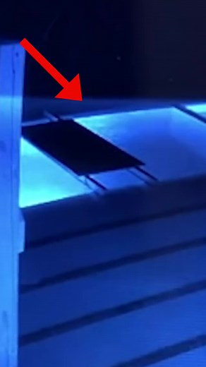 Lizzy Capri on TikTok