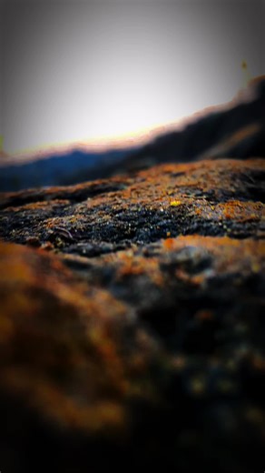 Baba creation 00 (@saifcreation6)’s videos with original sound - میں نوکر سرکار دا