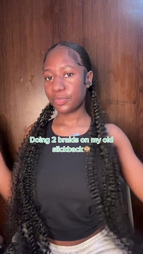 Sleek Two Braids Hair Tutorial