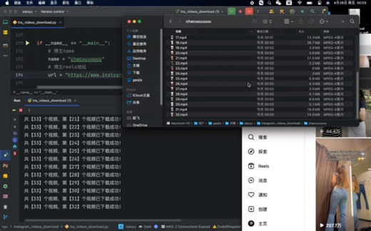 Instragram视频批量下载