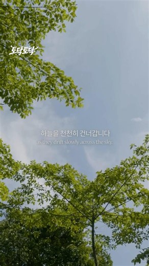 Pat-Pat EP24 | May the freedom within us also bloom quietly. 🕊️