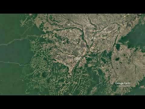 Amazon windthrow (examples)