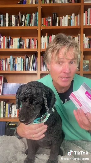 Safe and Effective Human Medications for Dog Skin Problems