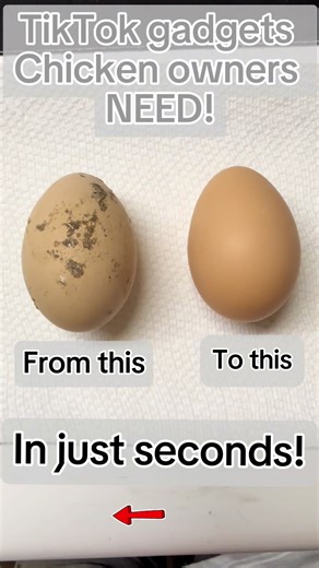 ✨ Say goodbye to scrubbing dirty eggs with you hands! This silicone egg washer makes cleaning farm-fresh eggs fast, gentle, and easy. Perfect for backyard chicken keepers 🐓🥚💦 #tiktokmademebuyit #farmfresheggs #farmlife #backyardchickens