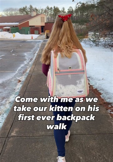 Finn’s first backpack walk 🐾🎒 . . . #kittenlife #catsoftiktok #backpackcat #adventurecat #kittenadventures