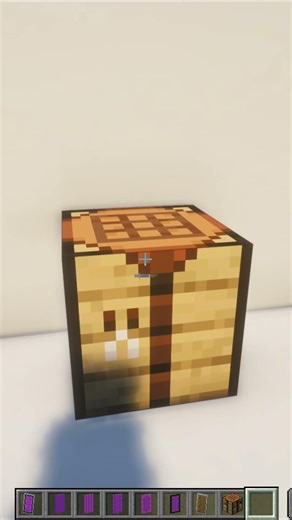 Netherworld Shield in Minecraft