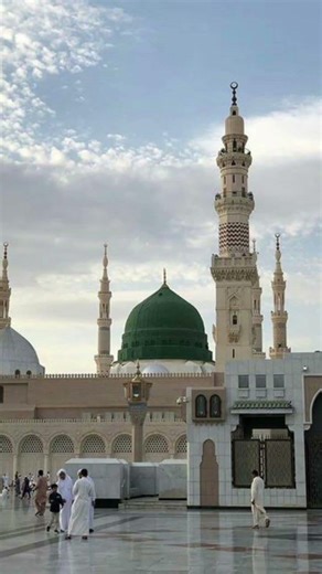 poochy ga mola #ytshorts #youtubeshorts #voiceeffects #fpyviral #best #highlight #ws #makkah #madina