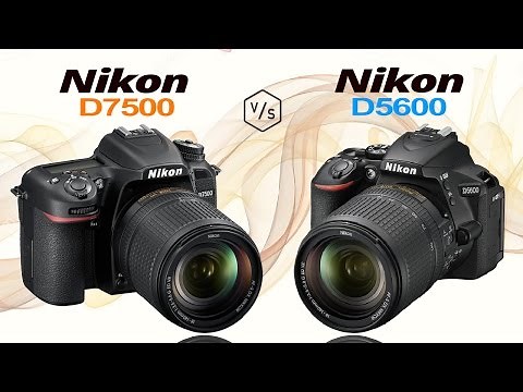 Nikon D7500 vs Nikon D5600