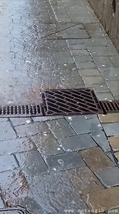 Gibraltar - 12/04 - good weather for ducks this morning! 🦆🦆🦆 😬 | MeteoGib