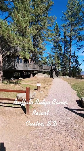 #buffaloridgecampresort #southdakota #blackhills #custer