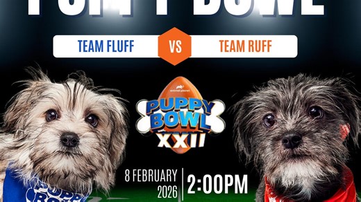 Meet the Ohio dogs playing in the 2026 Puppy Bowl before the Super Bowl