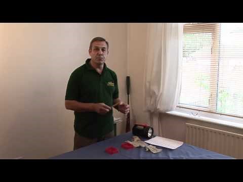 How To Get Rid Of Mice