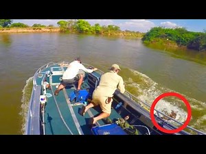 4 Hippo Encounters You Should Not Watch (Part 2)