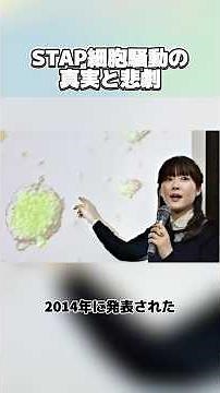 STAP細胞騒動の真実と悲劇 #実話 #衝撃の事実