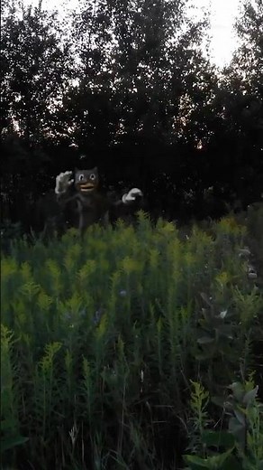 we ran into REAL cartoon cat while flying our drone... and HE FOUND OUT!!