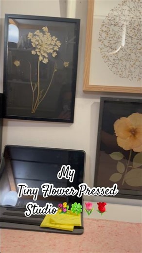 My Tiny Flower Pressed Studio😍💐🍀🌷🌹