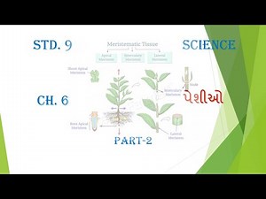 Std 9 Science Ch 6 Part 2 by I.S.PATEL
