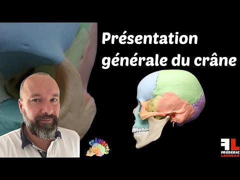 General presentation of the skull