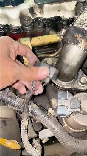 How to remove EGR Connector & refitting?