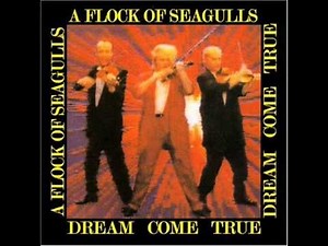 A Flock of Seagulls - (Cosmos) The Effect of the Sun