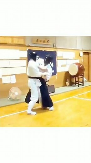合気道日本一VS空手全国大会出場者の リアルファイト AIKIDO VS KARATE Real FIGHT
