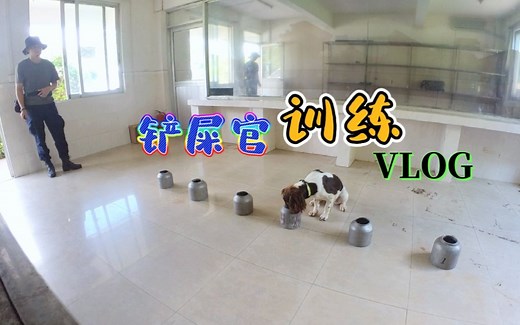 警犬日常训练