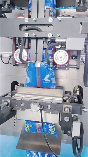 Granular Dried Fruit Packaging Machine