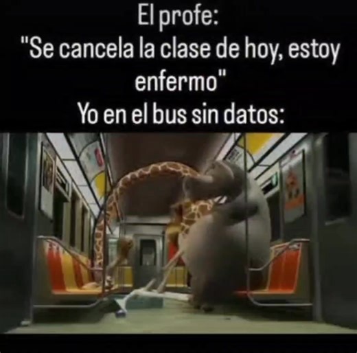 reels_aleatorios on Instagram: "El profe: "Se cancela la clase de hoy, estoy enfermo" Yo en el bus sin datos:#elprofesecancelalaclasedehoy #estoyenfermo #yoenelbuss #humor #estudiantes #clases #recreo #escuela #vidaestudiantil #comedia #estudio"