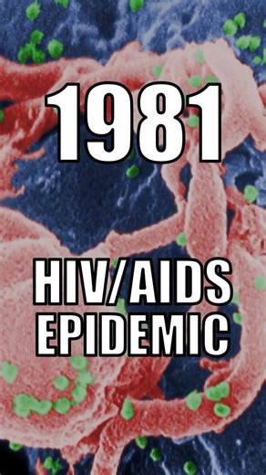 1981: HIV/AIDS EPIDEMIC
