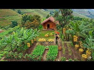 Living in the forest, gardening, harvesting bananas to market sell. Build own new bed for cabin