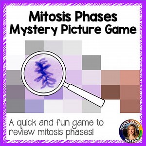 Name That Mitosis Phase! Powerpoint Review Game for Cell Division