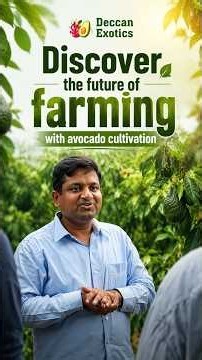 Deccan Exotics, 🥑 Discover the future of farming avocado cultivation! 🌿