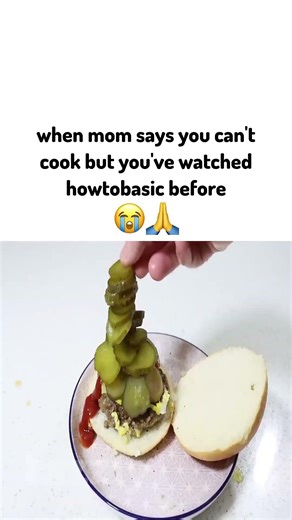 when your mom says you can't cook but you've watched howtobasic before
