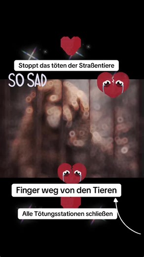 Lua❤️🐕❤️🐈❤️ (@lua.tierhilfe)’s videos with Blood Code - Le Castle Vania