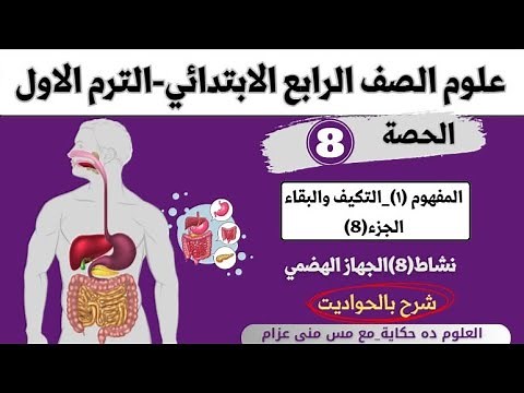 الحصة 8-علوم رابعة المفهوم الاول|الجهاز الهضمي - العلوم ده حكاية مس منى عزام
