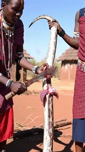 **🐍 Bushcraft Survival: ** Maasai Tribe Prepares Giant Python for Food! 🔪 Traditional Hunting