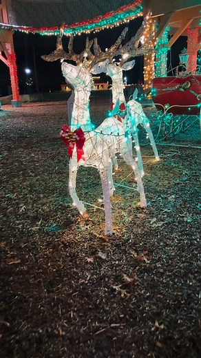 Coe Lake in Berea is so cute & festive for the holidays. Follow @kristinincleveland for more holiday magic and fun all year long 💫 #berea #bereaohio #northeastohio | Kristin in Cleveland
