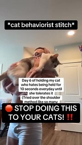 🛑 Stop Doing This to Your Cats! . 👚: wildatheartcats.com/apparel . . . #cat #cats #catbehavior #catdad #stitch #cuddlycat #catmom #kitten #kittens #catlover #catsofinstagram #catrescue #rescuecat #catcare | Wild At Heart - Cat Behavior Solutions