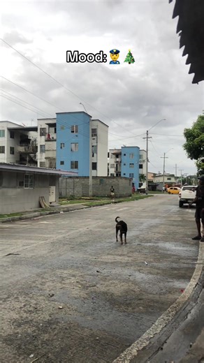 Siempre Panamá: La Patrulla Navideña en Acción