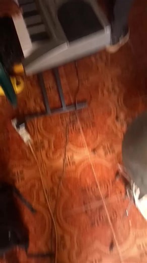 Vidéos de Jacques Bauer (@jacquesbauer26) avec son original - Jacques Bauer