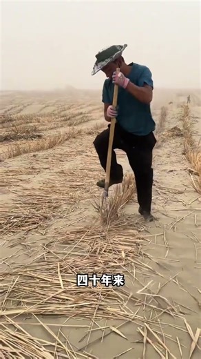 中国竟然在最大的沙漠种出了水稻！ #china #中国 #旅行 #travel #new #news