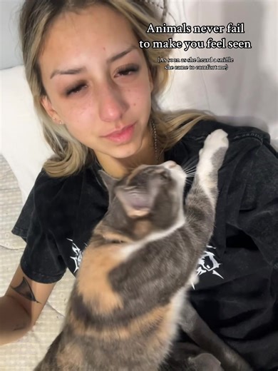 Emotional Comfort from Animals in Tough Times